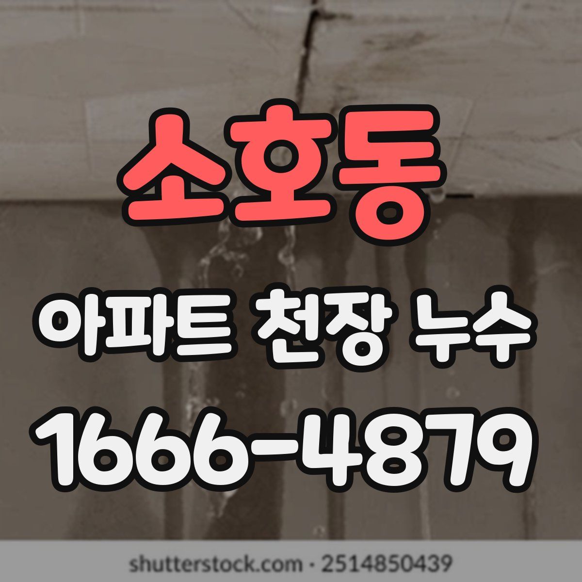소호동 아파트 천장 누수