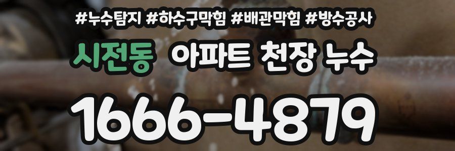 시전동 아파트 천장 누수