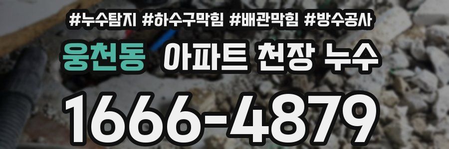 웅천동 아파트 천장 누수