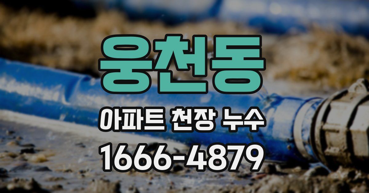 웅천동 아파트 천장 누수