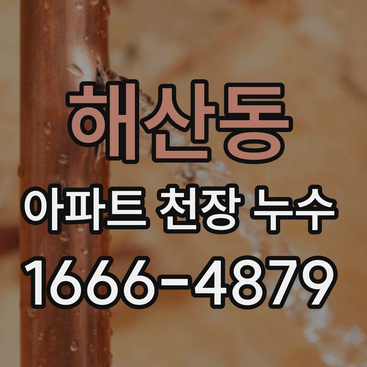 해산동 아파트 천장 누수