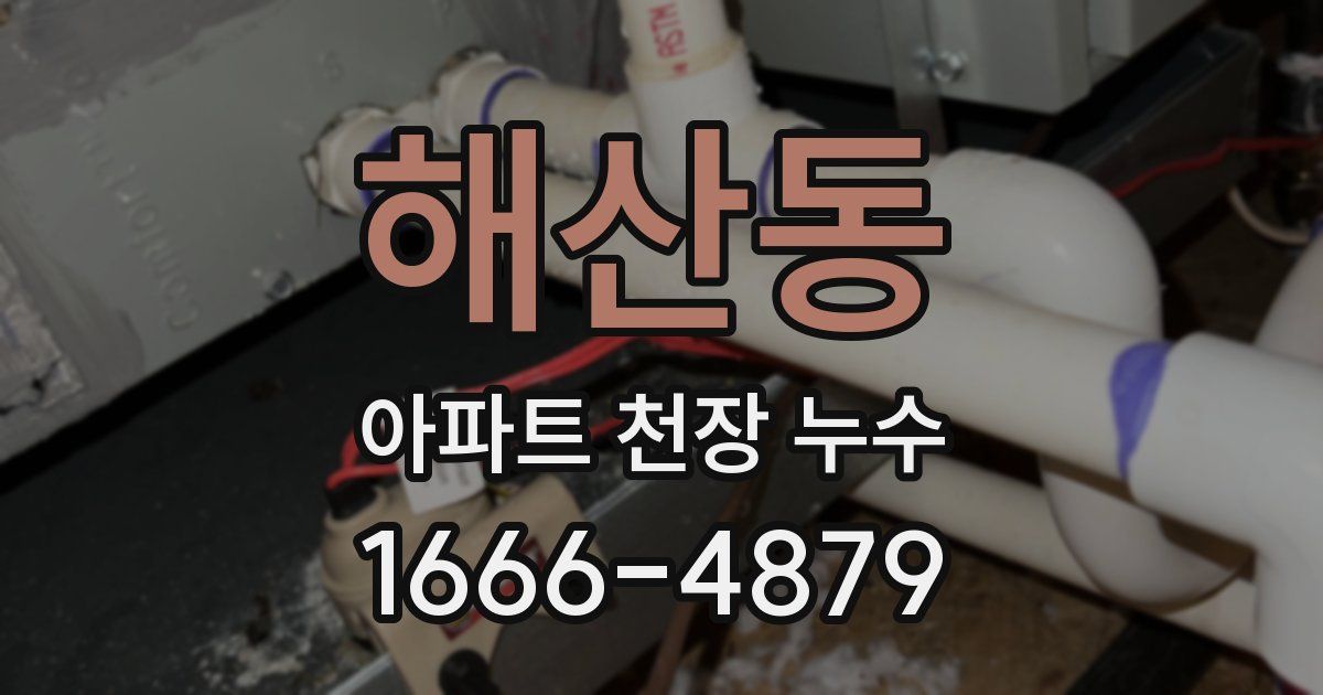 해산동 아파트 천장 누수