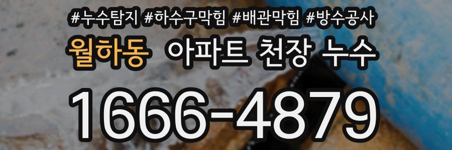 월하동 아파트 천장 누수