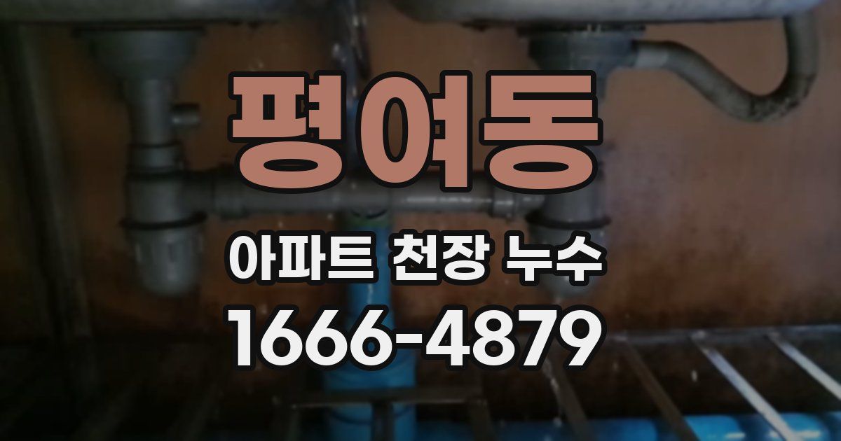 평여동 아파트 천장 누수