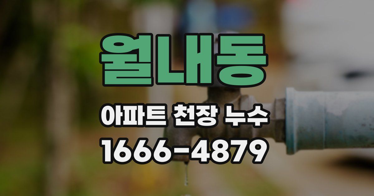 월내동 아파트 천장 누수