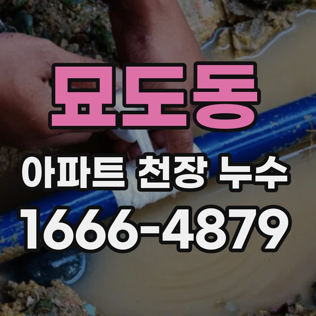 묘도동 아파트 천장 누수