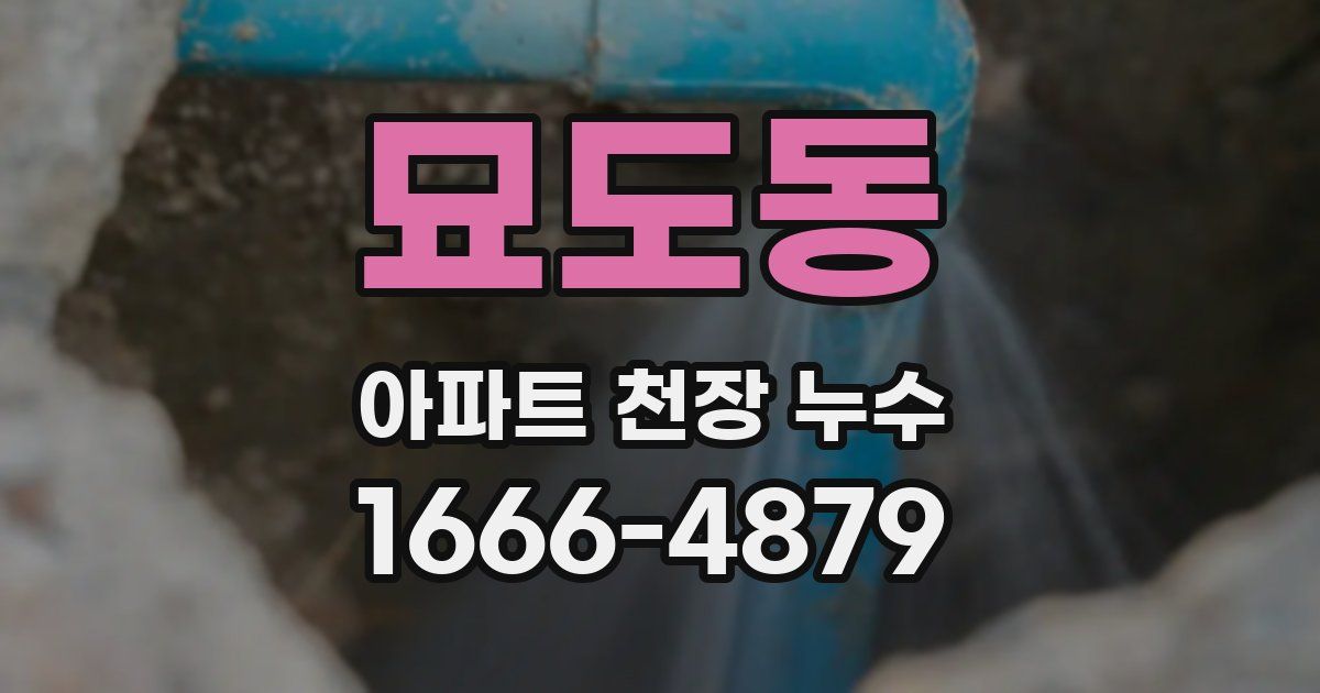 묘도동 아파트 천장 누수