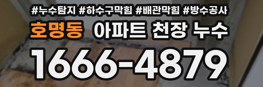 호명동 아파트 천장 누수