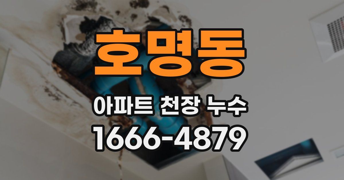 호명동 아파트 천장 누수