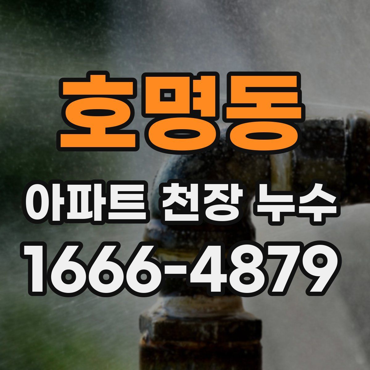 호명동 아파트 천장 누수