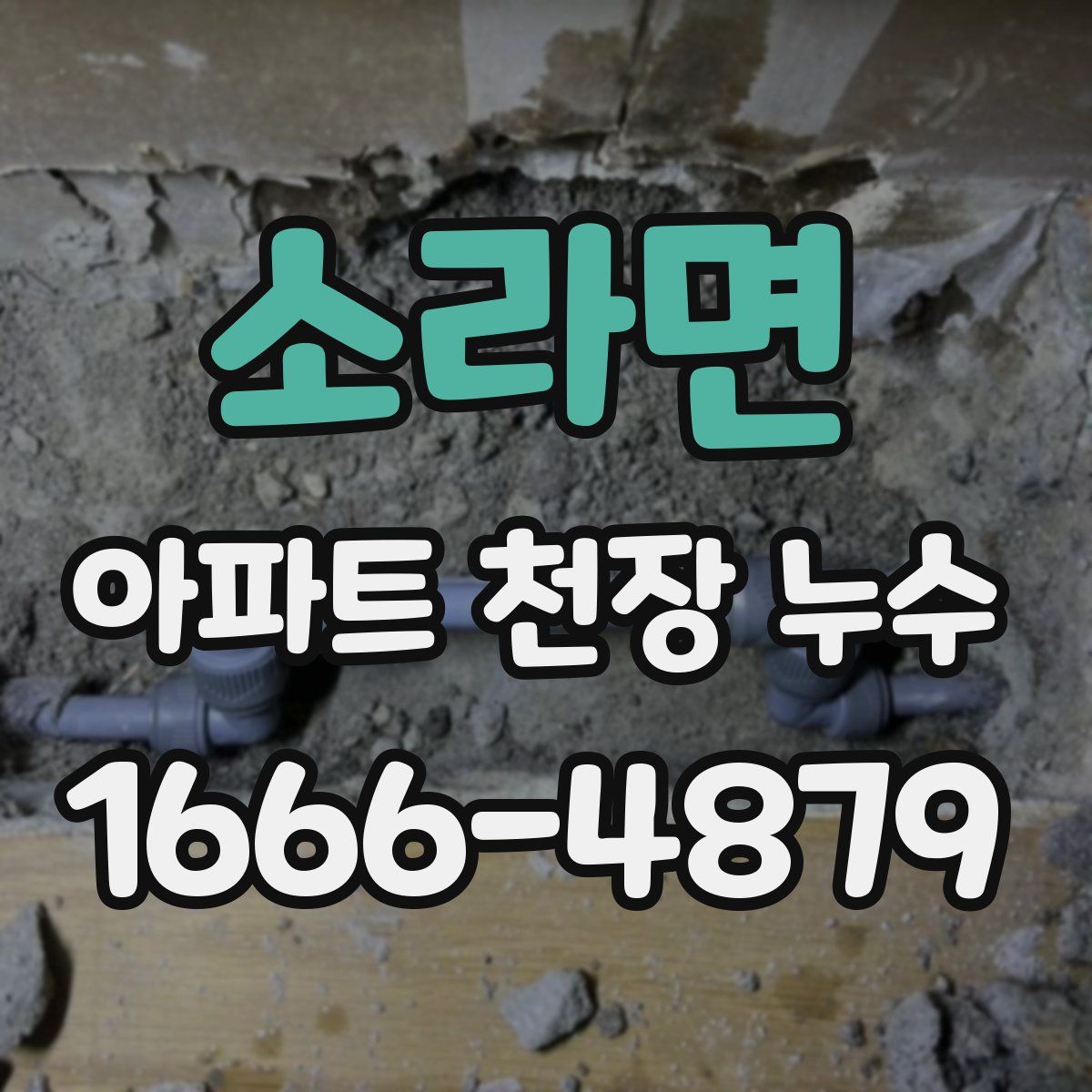 소라면 아파트 천장 누수