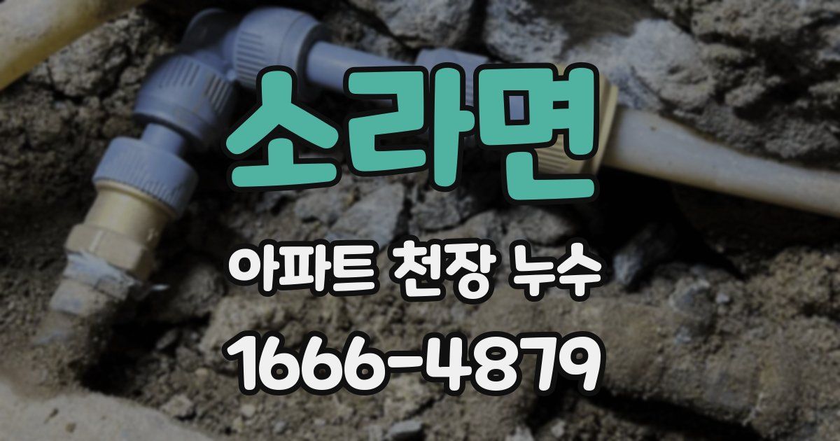 소라면 아파트 천장 누수