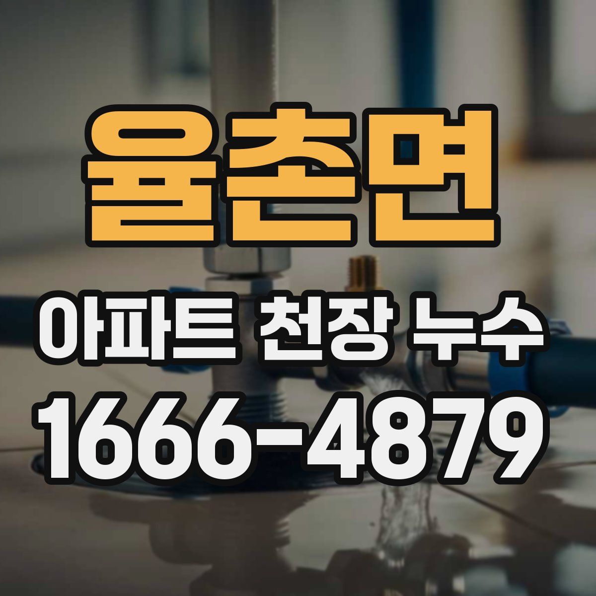 율촌면 아파트 천장 누수