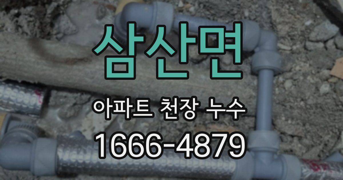 삼산면 아파트 천장 누수