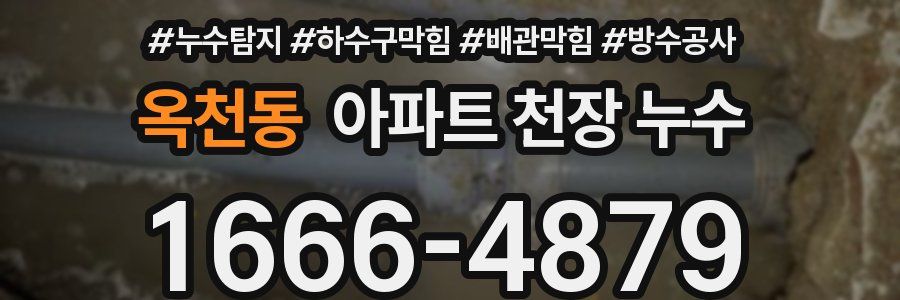 옥천동 아파트 천장 누수