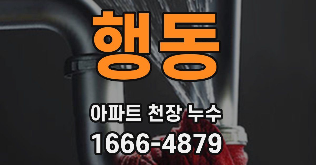 행동 아파트 천장 누수