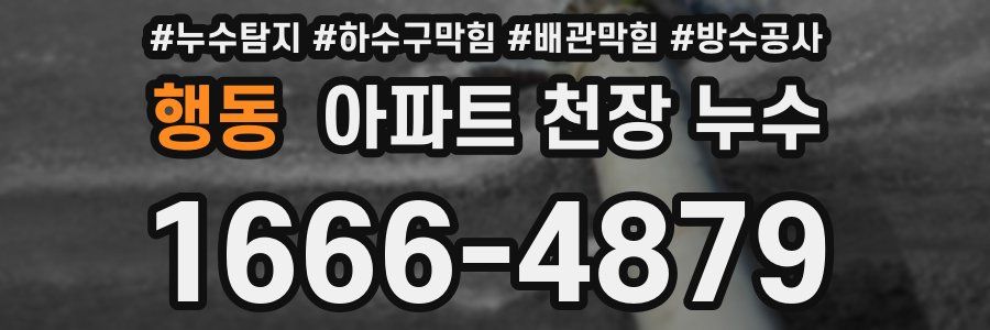 행동 아파트 천장 누수