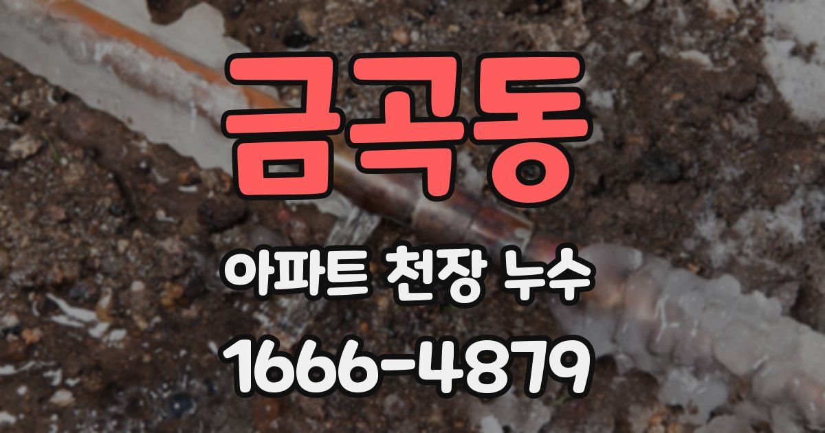 금곡동 아파트 천장 누수