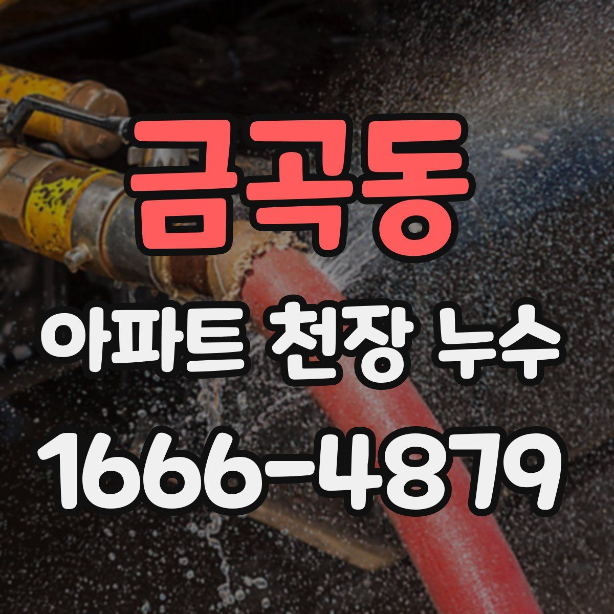 금곡동 아파트 천장 누수