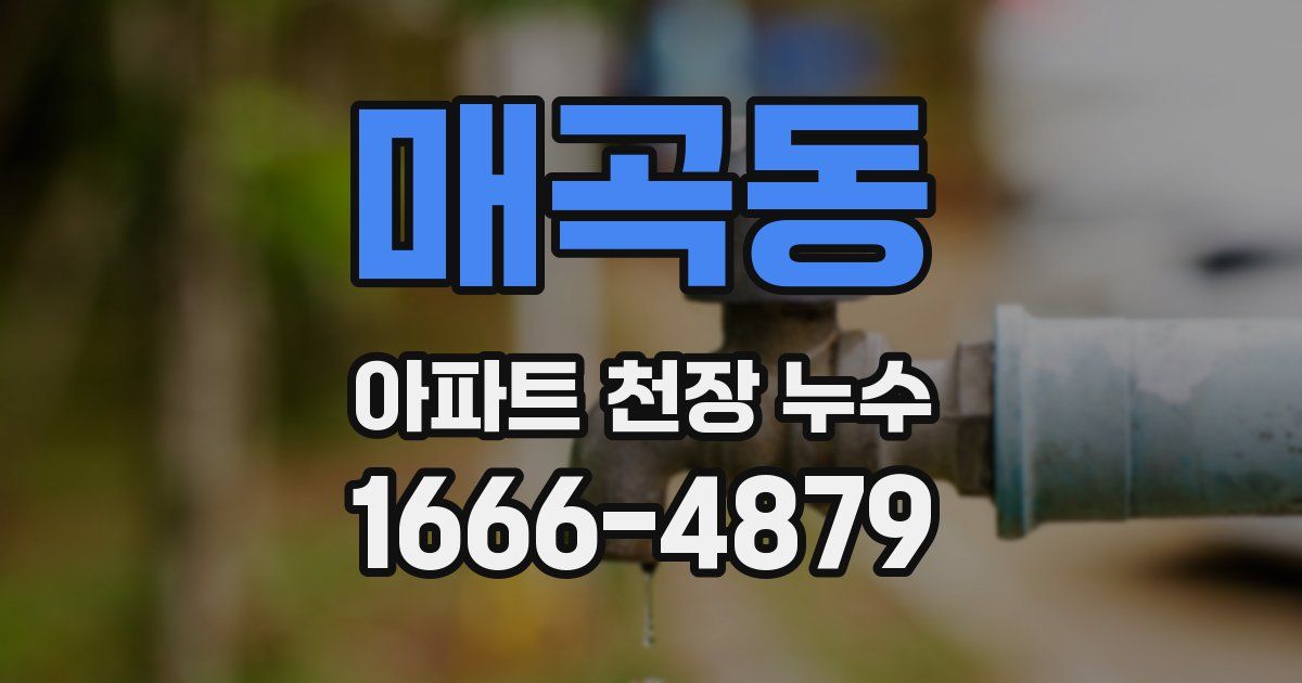 매곡동 아파트 천장 누수