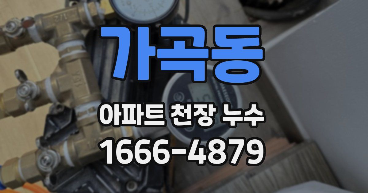 가곡동 아파트 천장 누수