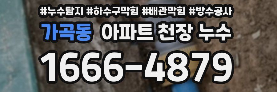가곡동 아파트 천장 누수