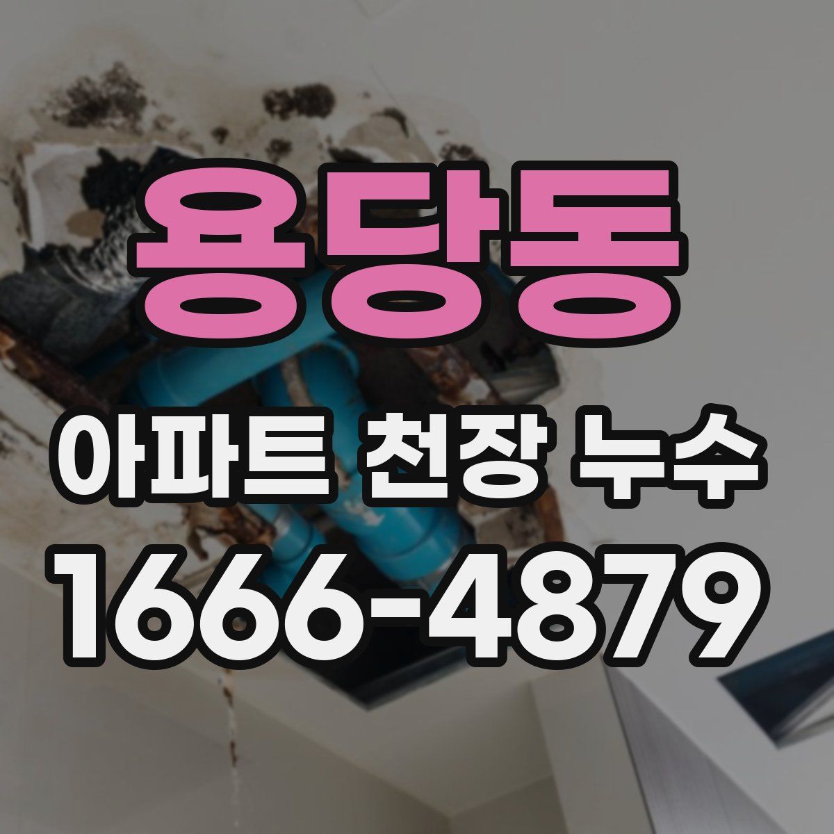 용당동 아파트 천장 누수