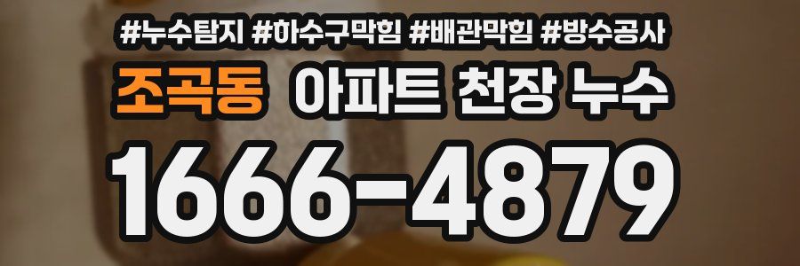 조곡동 아파트 천장 누수