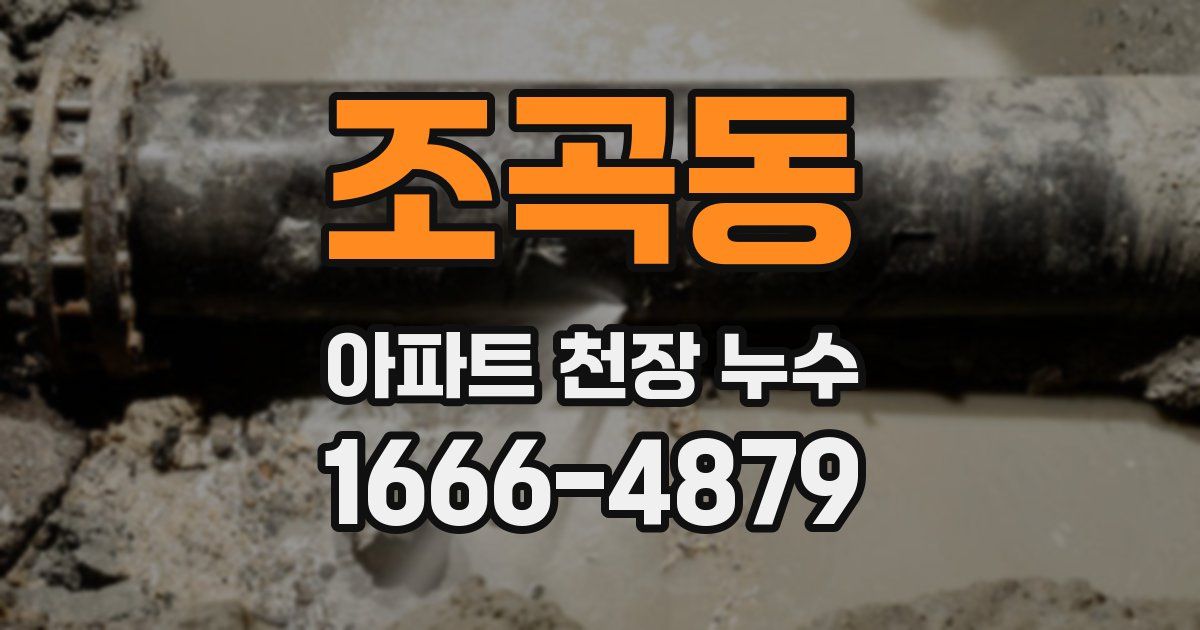 조곡동 아파트 천장 누수