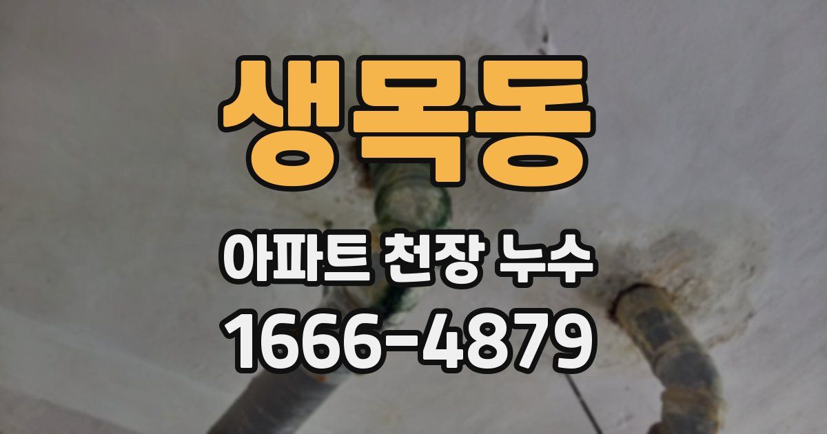 생목동 아파트 천장 누수