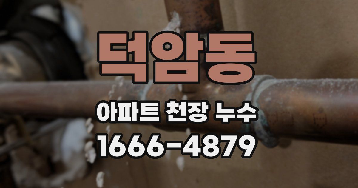 덕암동 아파트 천장 누수