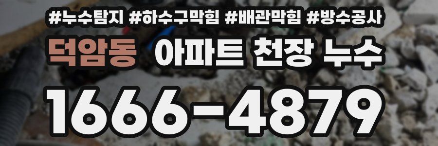 덕암동 아파트 천장 누수