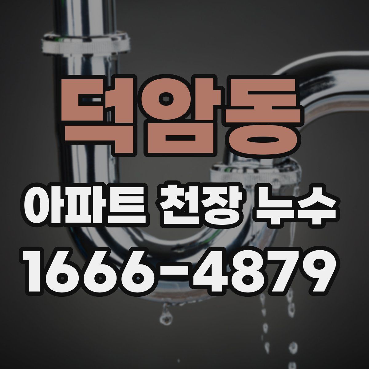 덕암동 아파트 천장 누수