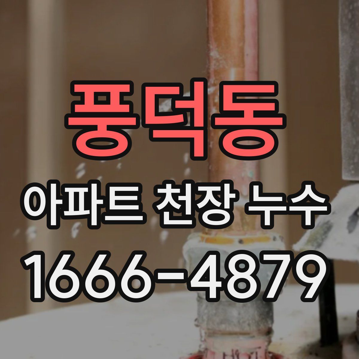 풍덕동 아파트 천장 누수