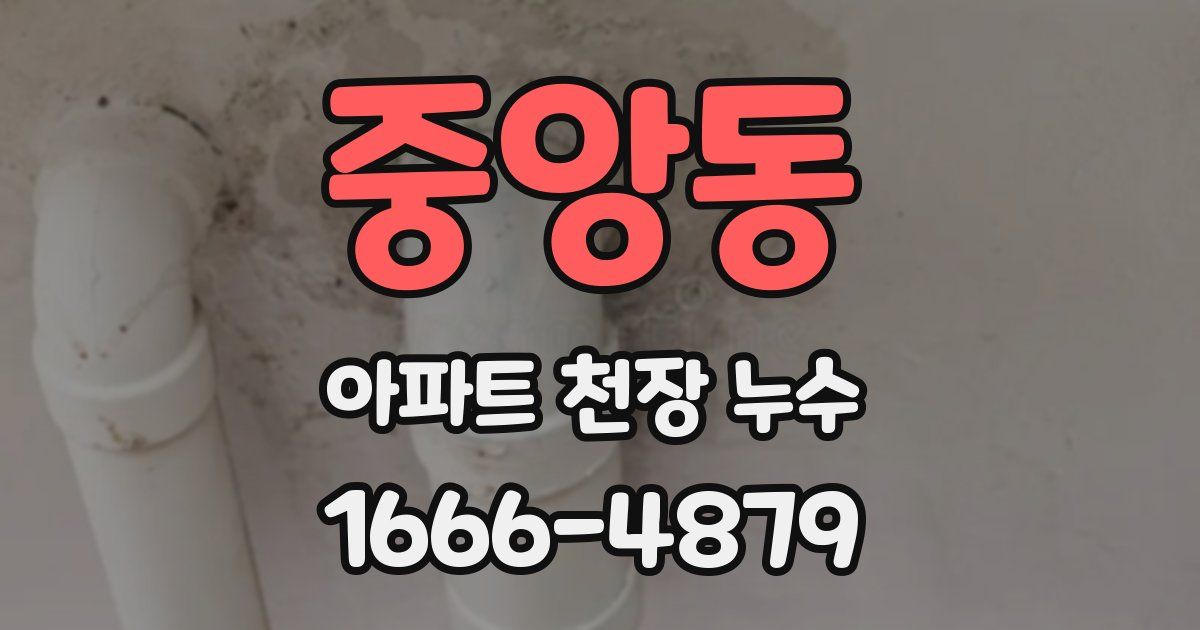중앙동 아파트 천장 누수