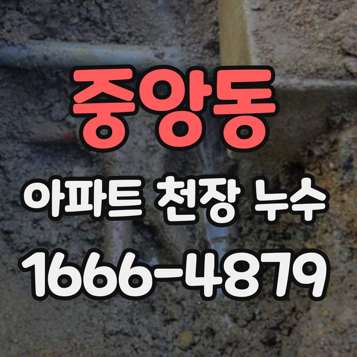 중앙동 아파트 천장 누수