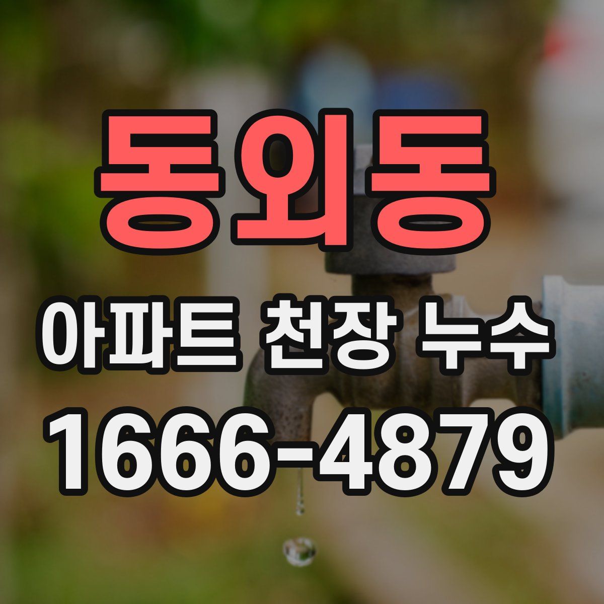 동외동 아파트 천장 누수