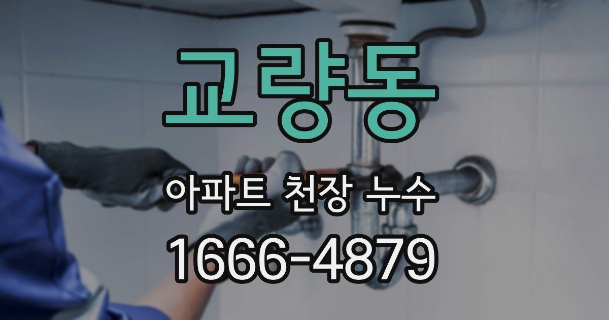 교량동 아파트 천장 누수