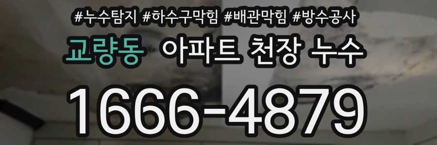 교량동 아파트 천장 누수