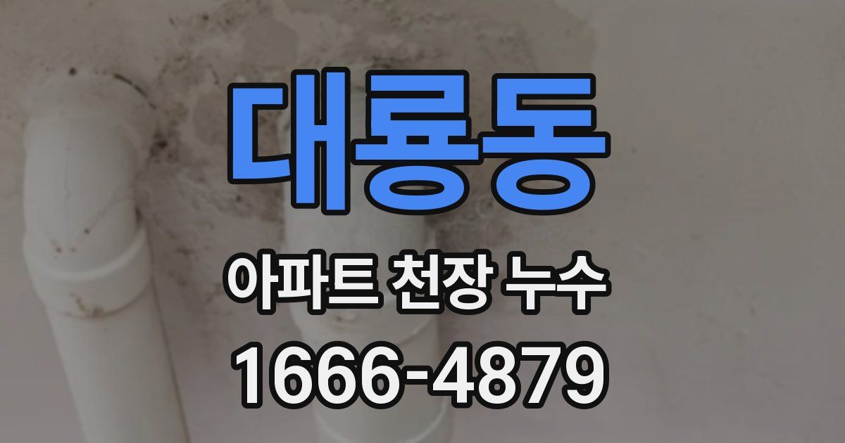 대룡동 아파트 천장 누수