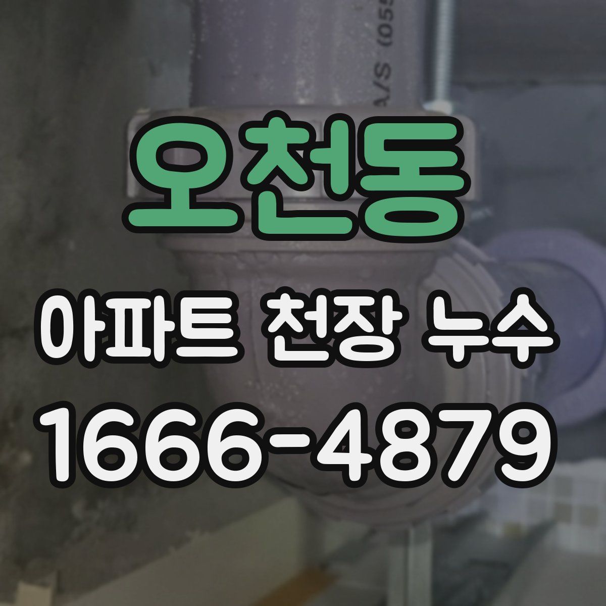 오천동 아파트 천장 누수
