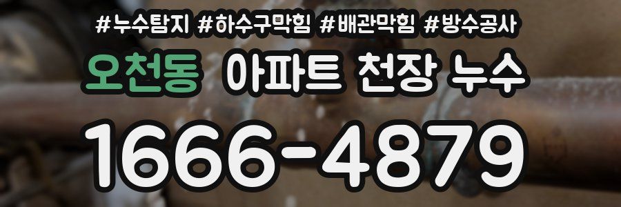 오천동 아파트 천장 누수