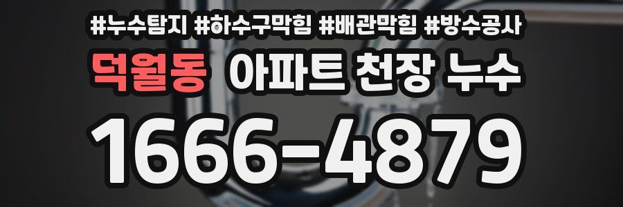 덕월동 아파트 천장 누수