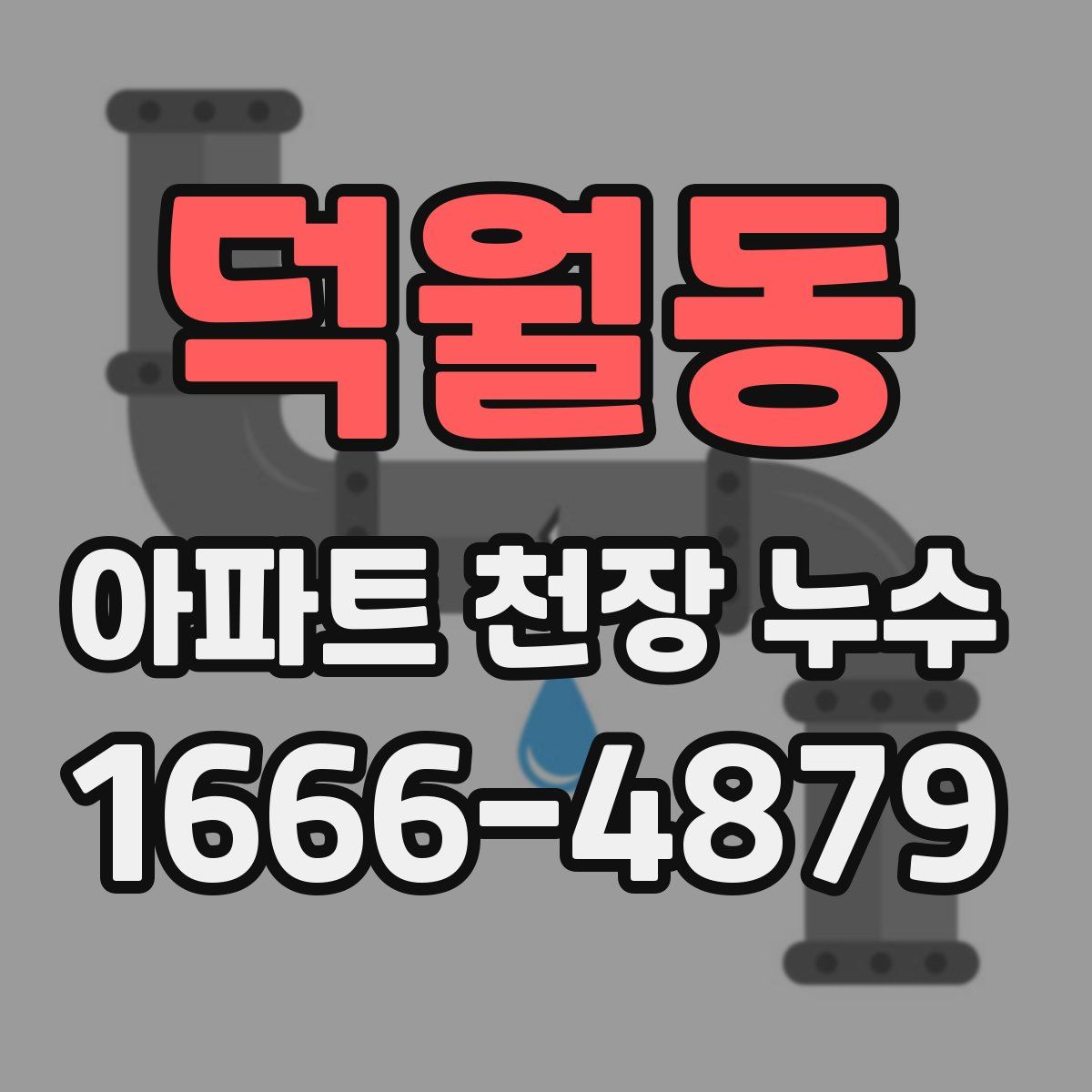 덕월동 아파트 천장 누수