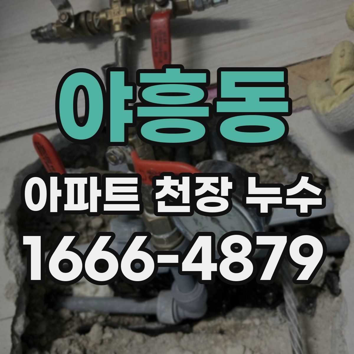 야흥동 아파트 천장 누수