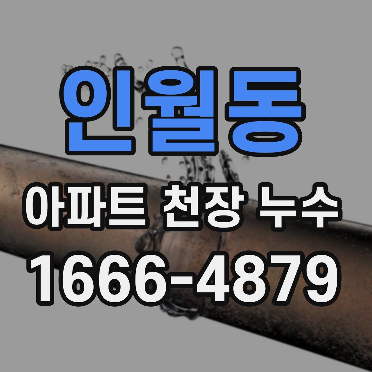 인월동 아파트 천장 누수
