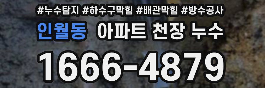 인월동 아파트 천장 누수