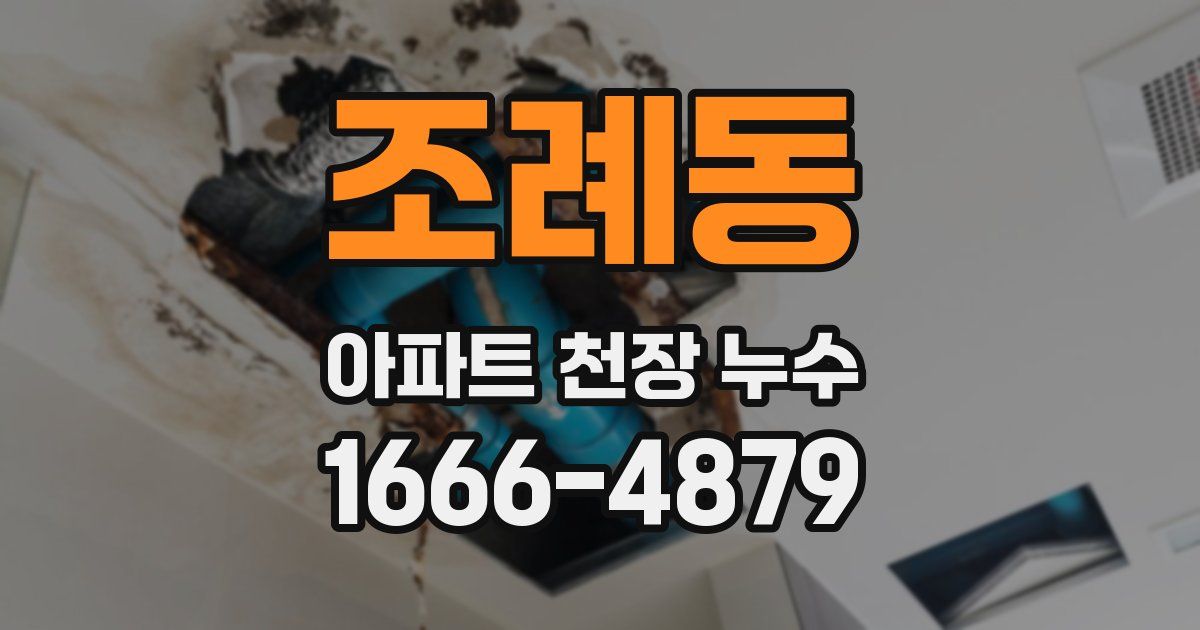 조례동 아파트 천장 누수