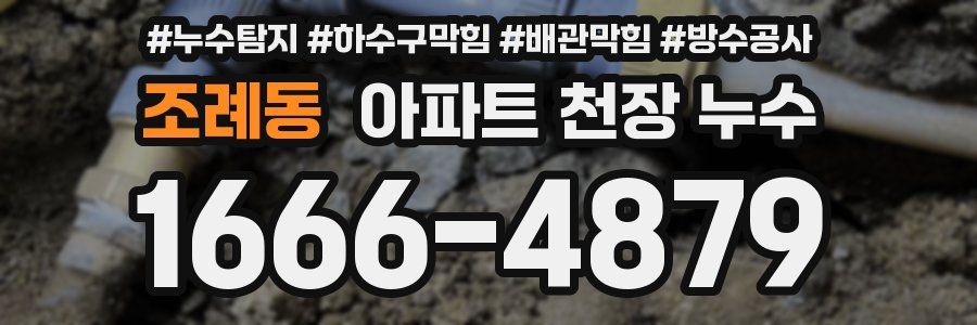 조례동 아파트 천장 누수