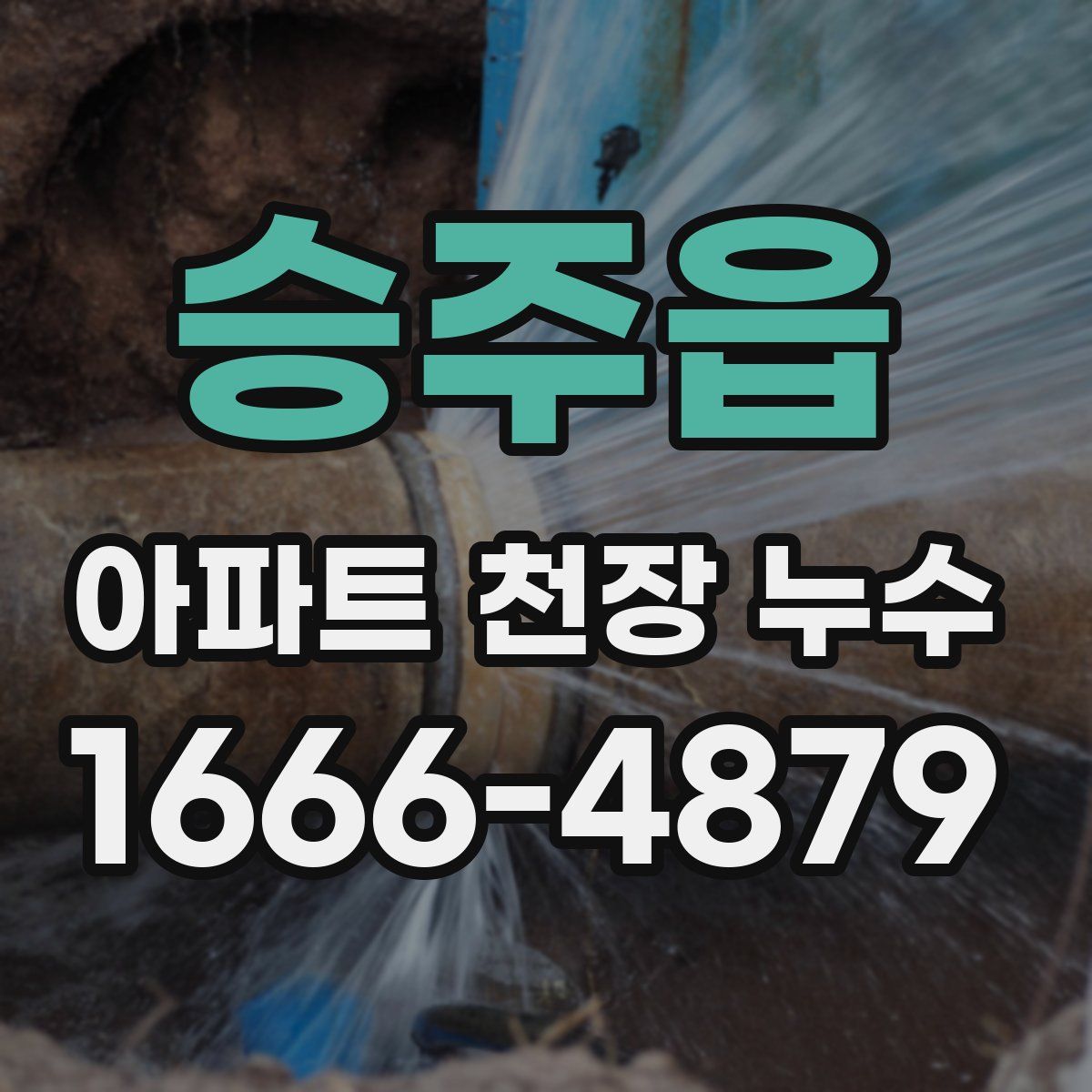 승주읍 아파트 천장 누수